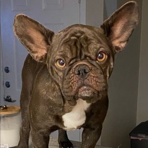 Meet your Posher, Robert